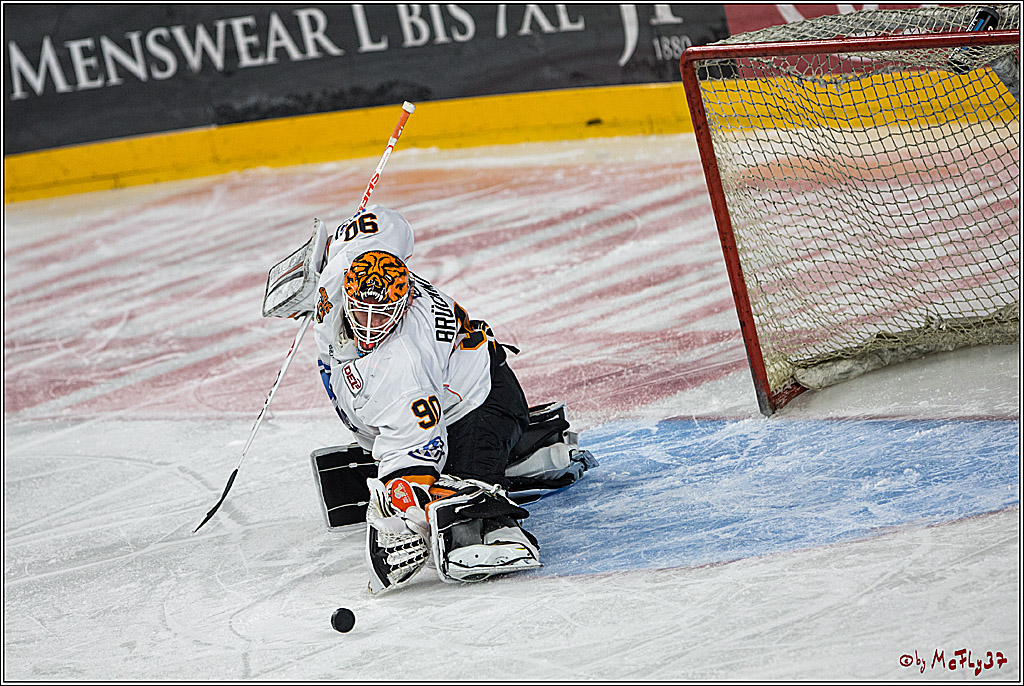 DEL, Koelner Haie - Grizzlys Wolfsburg, 21.03.2017